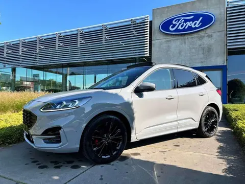 Annonce FORD KUGA Hybride 2024 d'occasion 