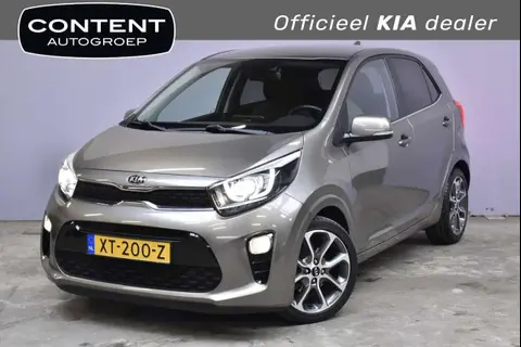 Used KIA PICANTO Petrol 2019 Ad 