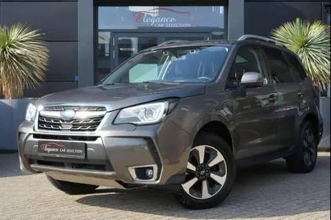 Annonce SUBARU FORESTER Essence 2019 d'occasion 