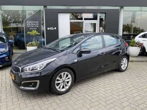 Used KIA CEED Petrol 2016 Ad 