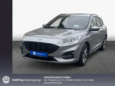 Used FORD KUGA Diesel 2023 Ad 