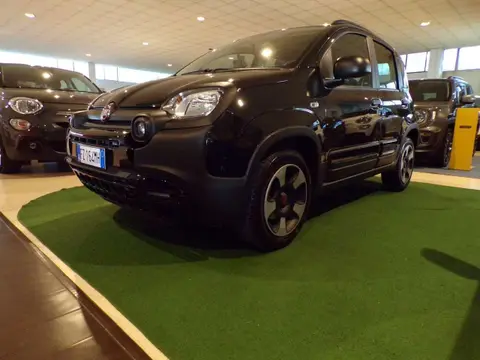 Used FIAT PANDA Petrol 2020 Ad 