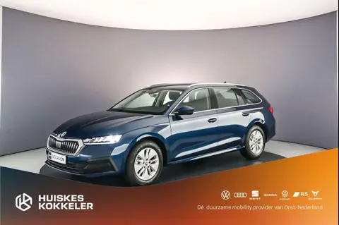 Used SKODA OCTAVIA Petrol 2023 Ad 