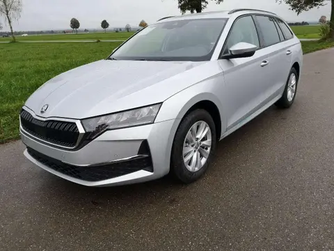 Annonce SKODA OCTAVIA Diesel 2024 d'occasion 