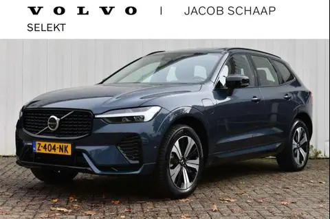 Annonce VOLVO XC60 Hybride 2024 d'occasion 