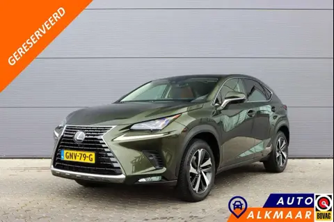 Used LEXUS NX Hybrid 2021 Ad 