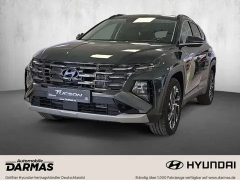 Used HYUNDAI TUCSON Petrol 2024 Ad 