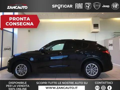 Used ALFA ROMEO STELVIO Diesel 2021 Ad 