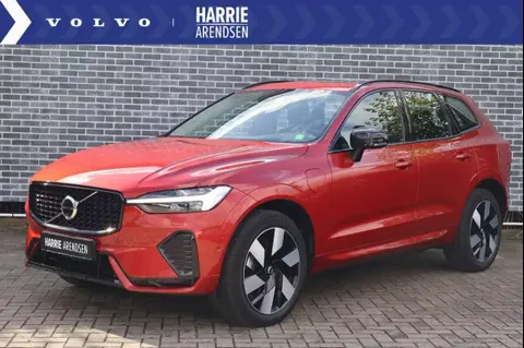 Annonce VOLVO XC60 Hybride 2024 d'occasion 