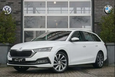 Annonce SKODA OCTAVIA Hybride 2020 d'occasion 