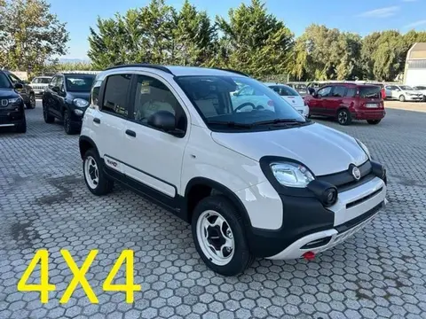 Used FIAT PANDA Petrol 2024 Ad 