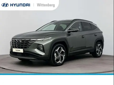 Used HYUNDAI TUCSON Hybrid 2024 Ad 