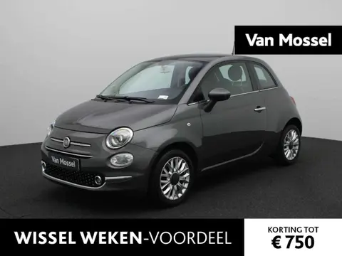 Used FIAT 500 Petrol 2019 Ad 