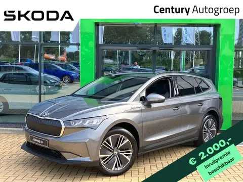 Used SKODA ENYAQ Electric 2024 Ad 