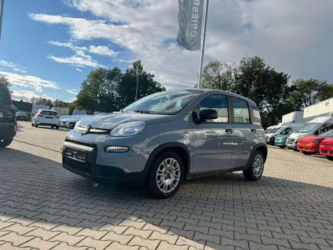 Annonce FIAT PANDA Essence 2023 d'occasion 