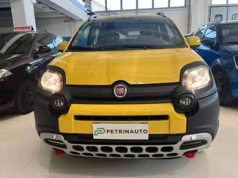 Annonce FIAT PANDA Hybride 2021 d'occasion 