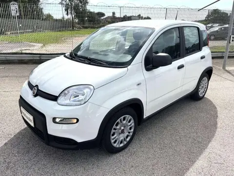 Annonce FIAT PANDA Hybride 2024 d'occasion 