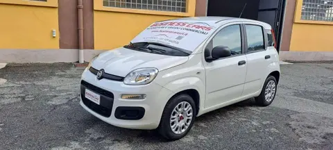 Annonce FIAT PANDA Essence 2019 d'occasion 