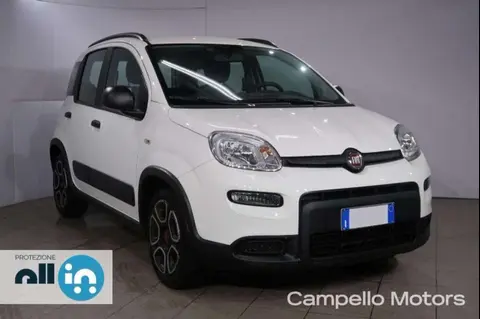 Annonce FIAT PANDA Hybride 2022 d'occasion 