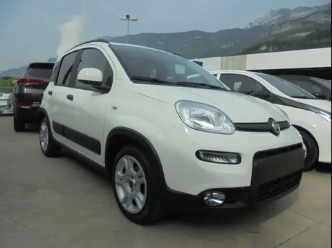 Used FIAT PANDA Hybrid 2024 Ad 