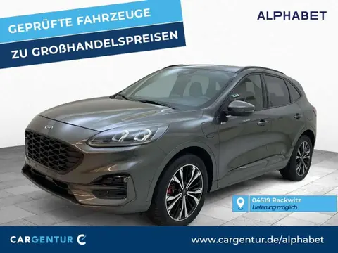 Used FORD KUGA Hybrid 2021 Ad 