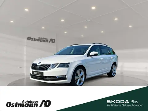 Annonce SKODA OCTAVIA Diesel 2020 d'occasion 