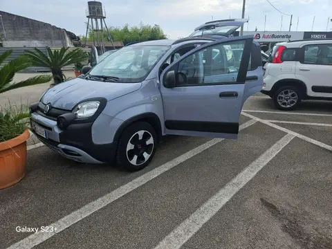 Used FIAT PANDA Hybrid 2020 Ad 