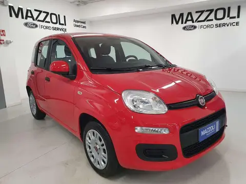 Annonce FIAT PANDA GPL 2022 d'occasion 