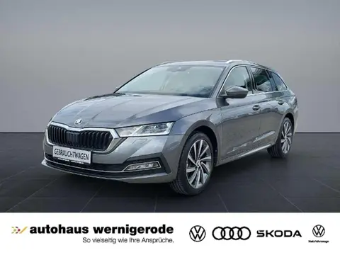 Used SKODA OCTAVIA Diesel 2023 Ad 