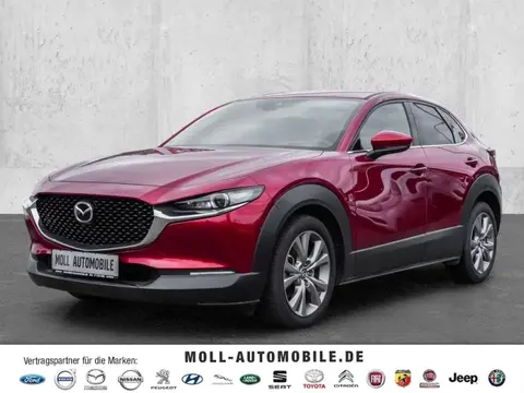 Used MAZDA CX-30 Petrol 2020 Ad 