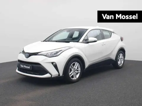 Used TOYOTA C-HR Hybrid 2020 Ad 