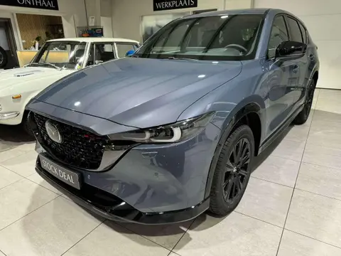 Used MAZDA CX-5 Petrol 2024 Ad 