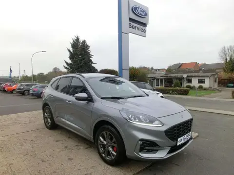 Annonce FORD KUGA Hybride 2022 d'occasion 