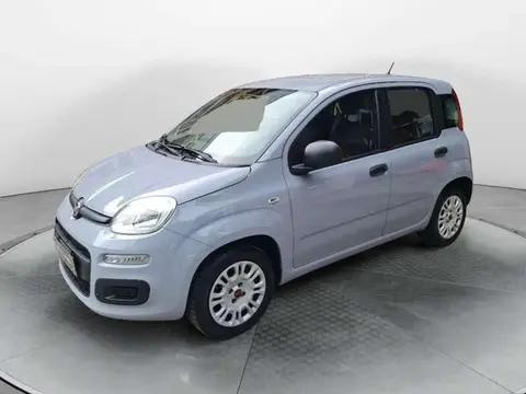 Used FIAT PANDA Petrol 2018 Ad 