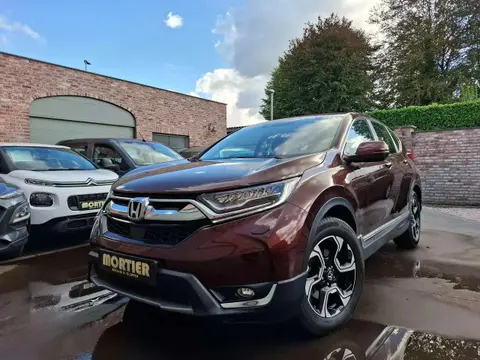 Used HONDA CR-V Petrol 2019 Ad 