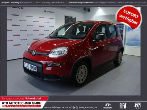 Annonce FIAT PANDA Essence 2024 d'occasion 