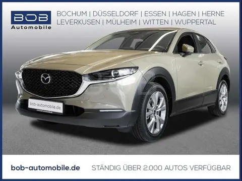 Annonce MAZDA CX-30 Essence 2024 d'occasion 