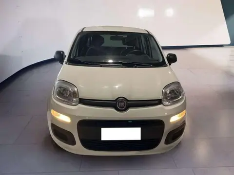 Annonce FIAT PANDA  2018 d'occasion 