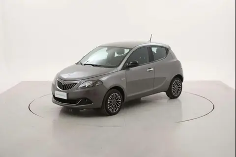 Used LANCIA YPSILON Hybrid 2024 Ad 