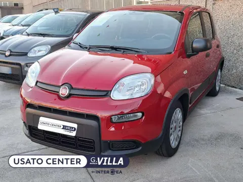 Used FIAT PANDA Hybrid 2024 Ad 