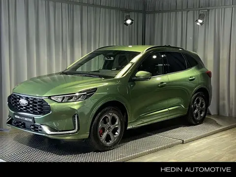 Annonce FORD KUGA Hybride 2024 d'occasion 