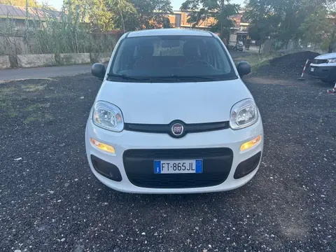 Used FIAT PANDA Petrol 2019 Ad 