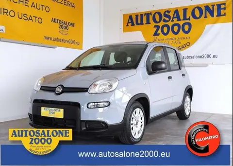 Annonce FIAT PANDA Hybride 2022 d'occasion 