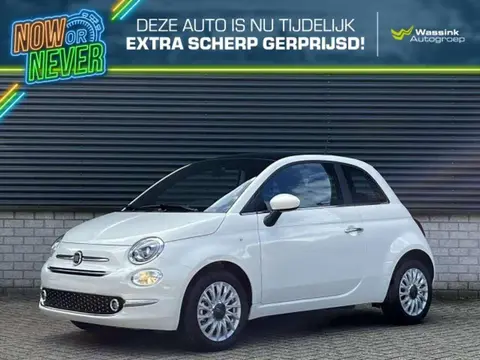 Used FIAT 500 Hybrid 2024 Ad 