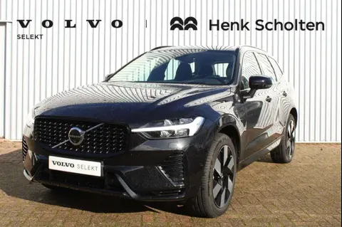 Annonce VOLVO XC60 Hybride 2024 d'occasion 