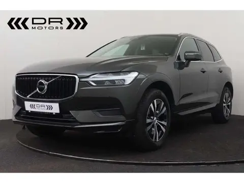 Annonce VOLVO XC60 Diesel 2019 d'occasion 