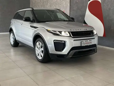 Annonce LAND ROVER RANGE ROVER EVOQUE Diesel 2019 d'occasion 