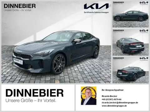 Used KIA STINGER Petrol 2024 Ad 