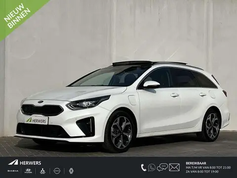 Used KIA CEED Hybrid 2021 Ad 