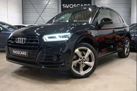 Used AUDI Q5 Petrol 2019 Ad 